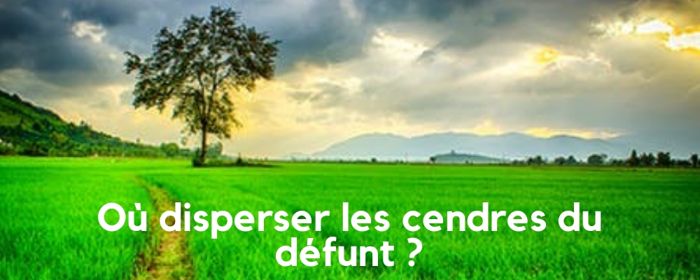 Où disperser les cendres du défunt ?