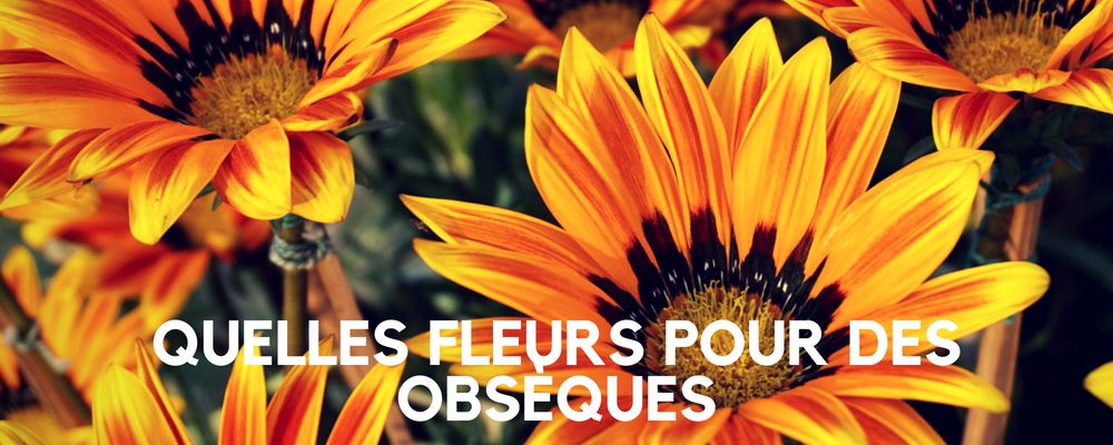 Quelles fleurs choisir pour des obsèques ?